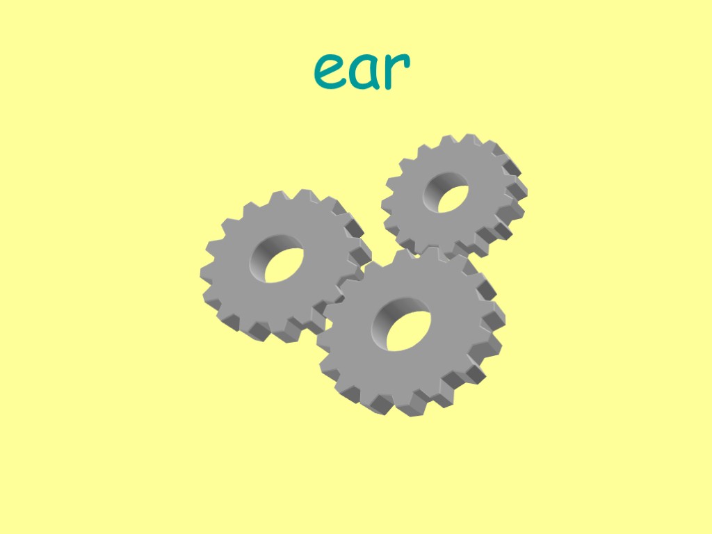 ear